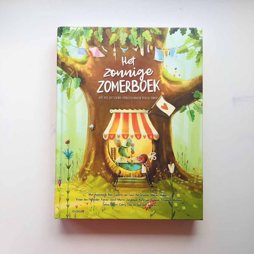 Het zonnige zomerboek